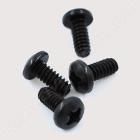 Apple II+ Chassis Screws (Set of 4)
